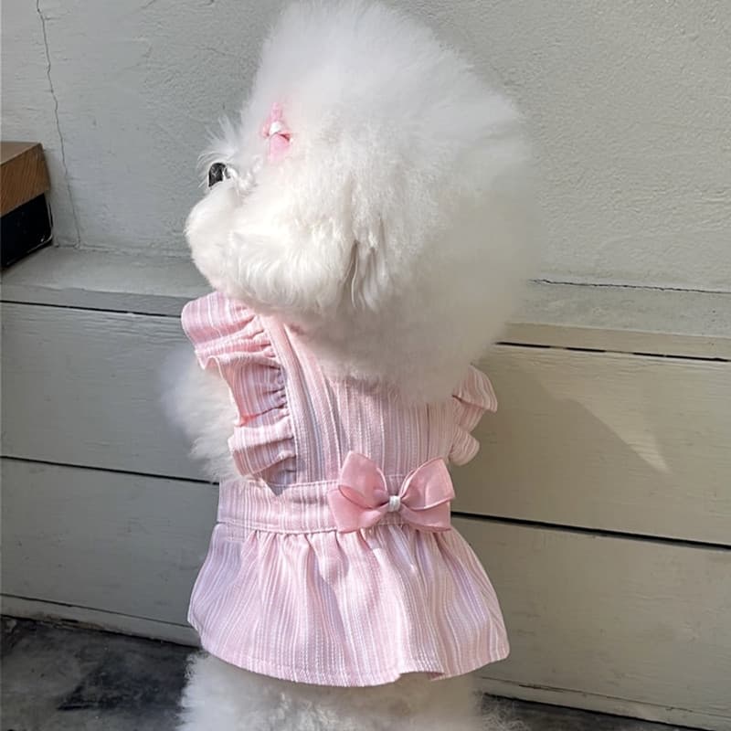 Pet Dress for Teddy, Bichon, Pomeranian, Cats, and Yorkshire Terrier Small Dogs, Summer Thin Style