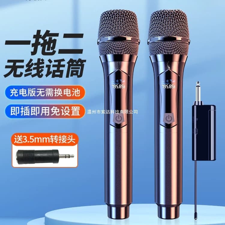 Universal Wireless Microphone Set (1 Transmitter, 2 Receivers) for KTV Karaoke, Home Singing, Compatible with Speakers and Sound Cards, Professional Outdoor Use