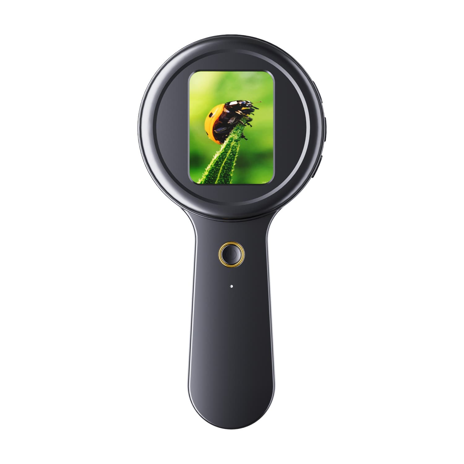 Amazon New Hot Selling Children's Microscope Home School Learning Magnifier Special Extended Handheld Microscope