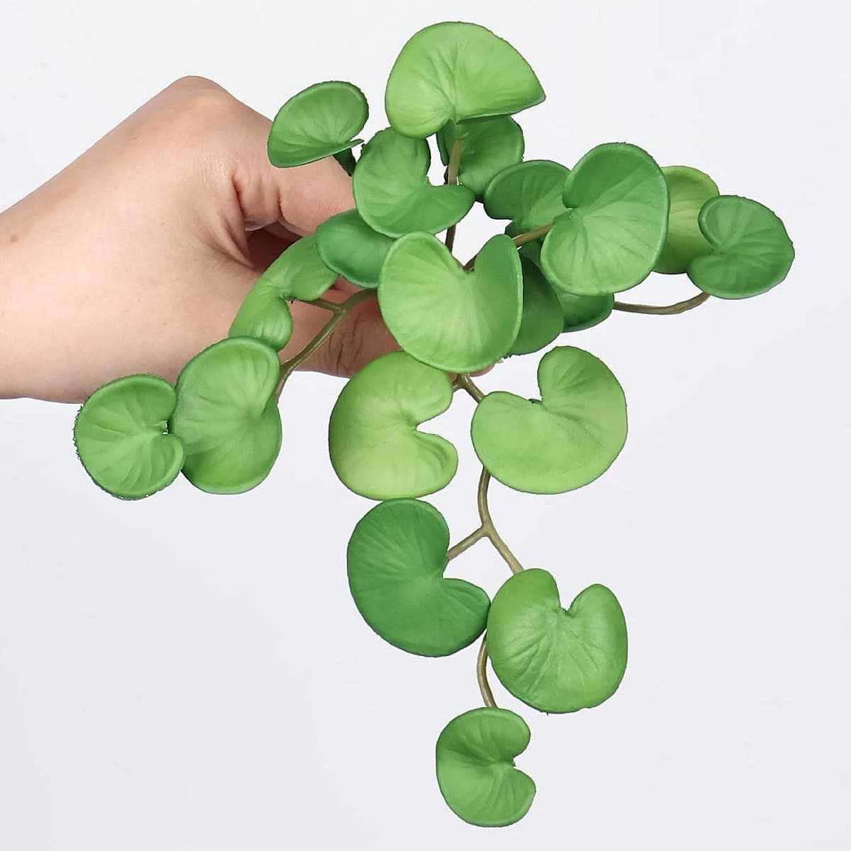 Succulent Soft Plastic Copper Coin Grass, Anthurium Leaf, Monstera Leaf, Clover Artificial Green Plants Hanging Decoration Landscape