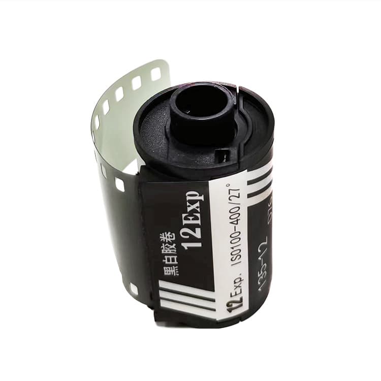 135 black and white film, 12 exposures