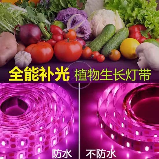 ✅Cross-border USB plant growth light strip 5V2835 monochrome 60D fill light strip full spectrum waterproof plant light strip