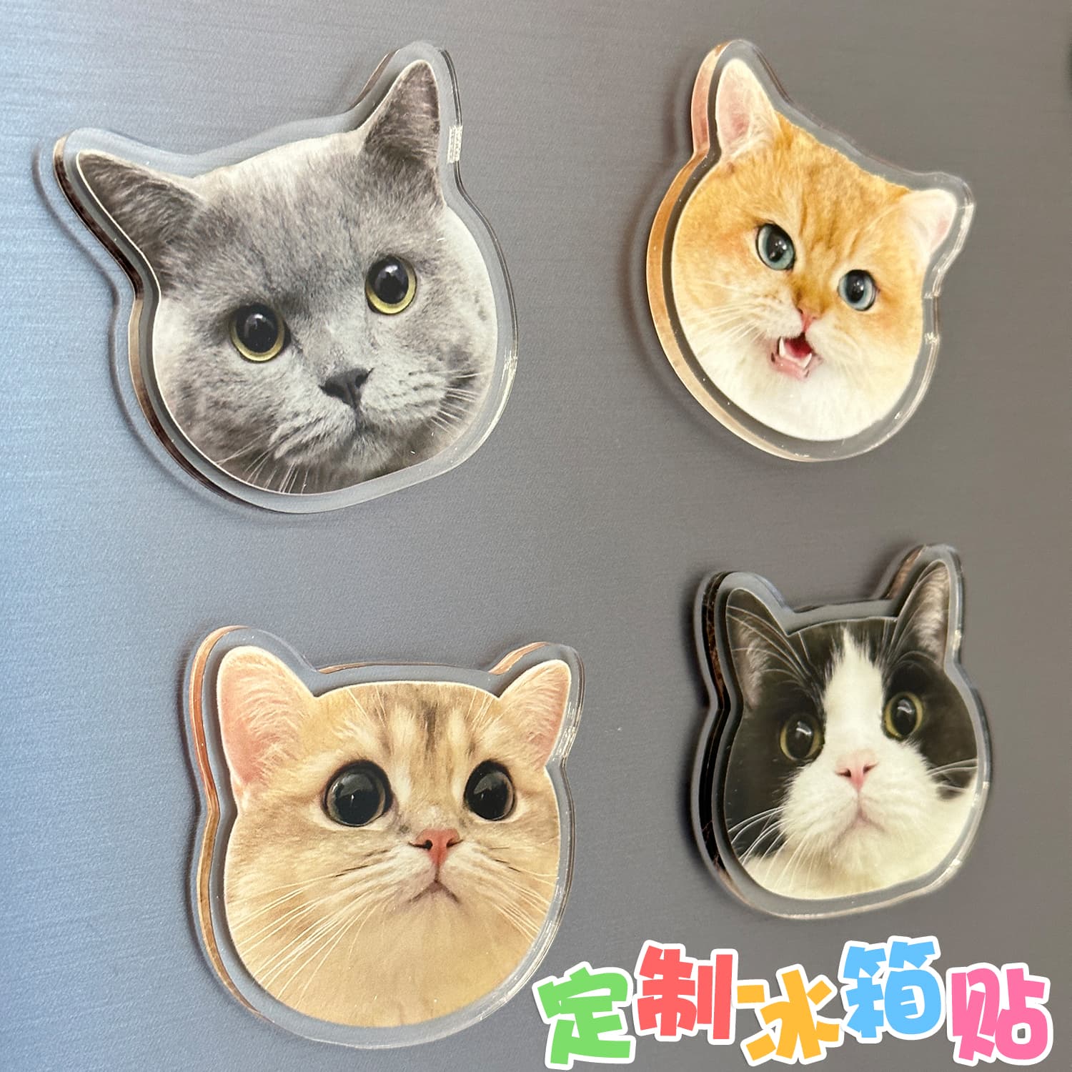 Custom Acrylic Fridge Magnet Photo Pet Cat Dog Magnet Cartoon Creative Fridge Magnet Customization