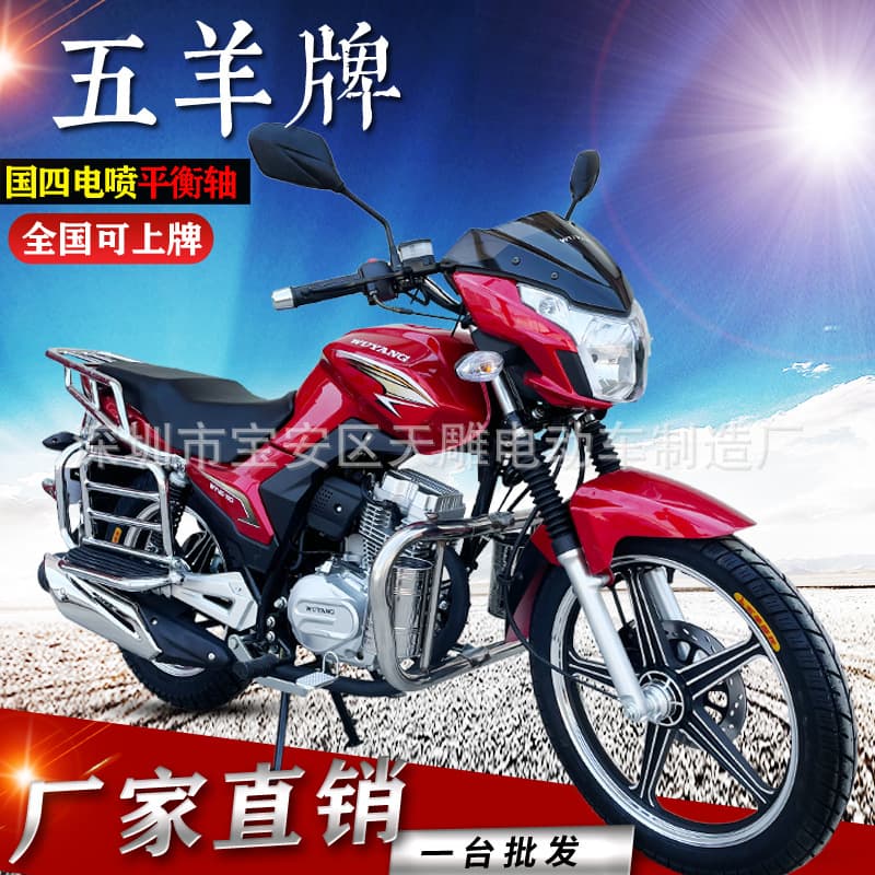 Wuyang Brand National IV EFI Motorcycle Zuanbao Balance Shaft 150cc Fuel Street Bike for Cargo and Load, License-able