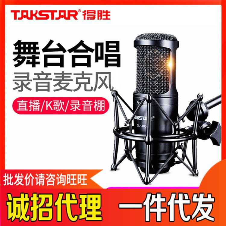 Takstar GL-400 Professional Large Diaphragm Condenser Microphone Set for Recording, Broadcasting, and Live Streaming