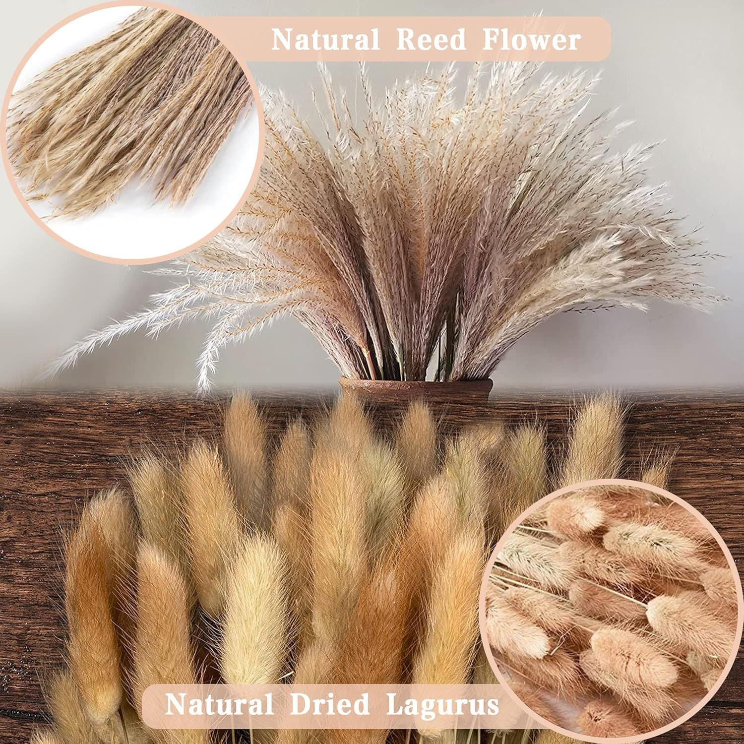 Reed Set Hot Selling Pampas Grass Small Dried Flowers Bunny Tail Grass Dusting Decorative Ornament Living Room Bouquet Combo Amazon