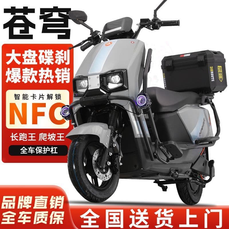 Electric Motorcycle 96V 72V Scooter High-Power High-Speed Electric Motorcycle Big Sky Long Range King