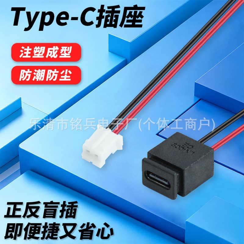 Reverse Charging TYPE-C Female Socket 2P Press-Fit with Board Charging Socket LN-009 USB-C Connector