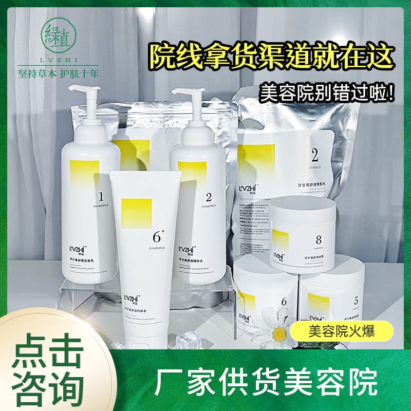 Green Plant Beauty Salon Professional Chamomile Skincare Set Box Professional Salon Products Customer Attraction Skin Care Kit