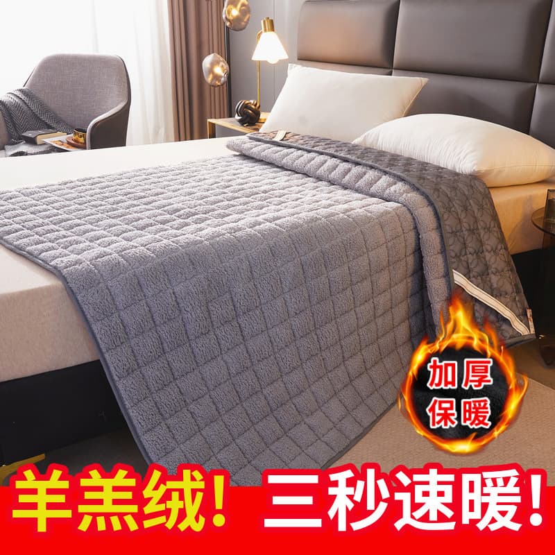 Lamb Fleece Mattress Soft Pad Double Home Use Thin Single Student Dormitory Bed Mattress Pad Underlay Anti-Slip Mat
