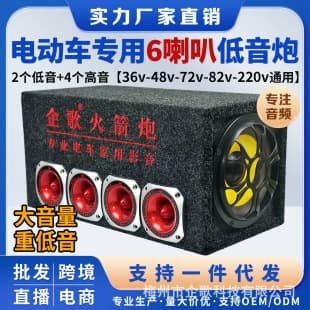 Dual Subwoofer Car Home Subwoofer 12V Car Audio Electric Vehicle 72V 84V Audio High Power Truck
