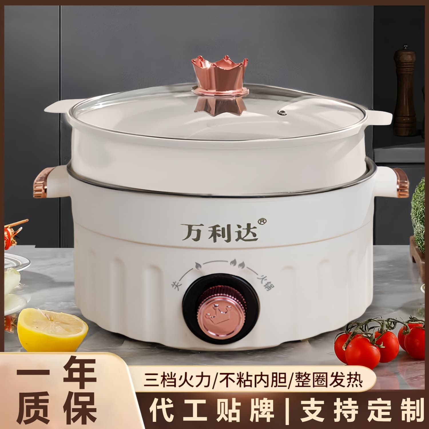 Malata Electric Cooking Pot, Household Electric Frying Pan, Non-Stick, Large Capacity, Steaming and Boiling Multi-Function Electric Hot Pot