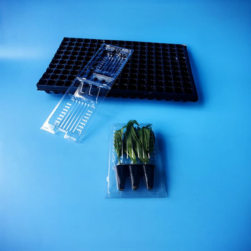 Seedling potted plant transport boxes, PET blister pack boxes for flower seedlings, wholesale flower seedling transport packaging boxes from the manufacturer.