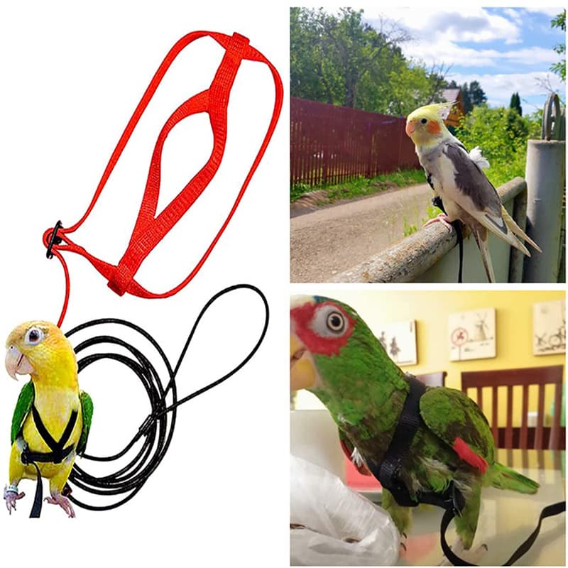 Parrot Flight Harness Leash Training Tether for Outdoor Use, Parrot Macaw Flying Rope Bird Supplies