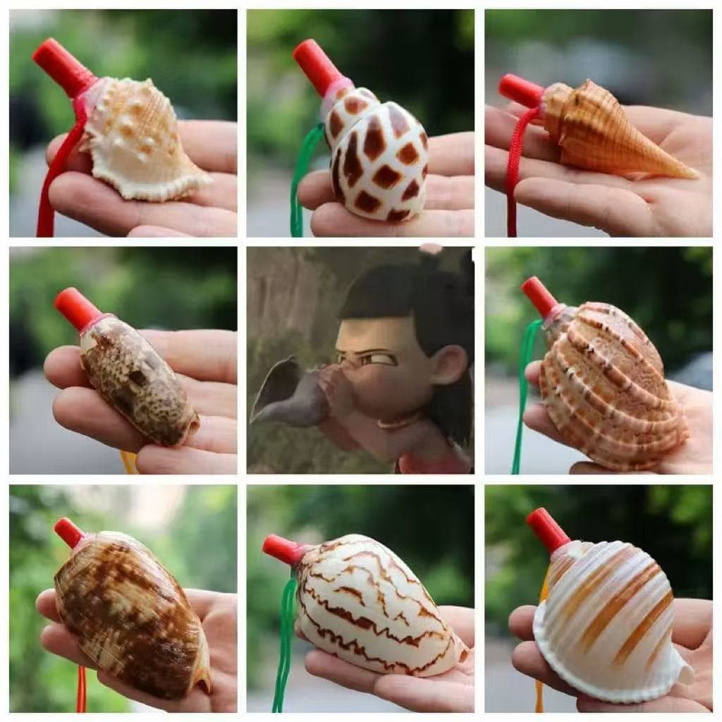 Creative Seashell Crafts Street Stall Toys, Various Conch Whistles, Blowing Conch, Tourist Souvenirs