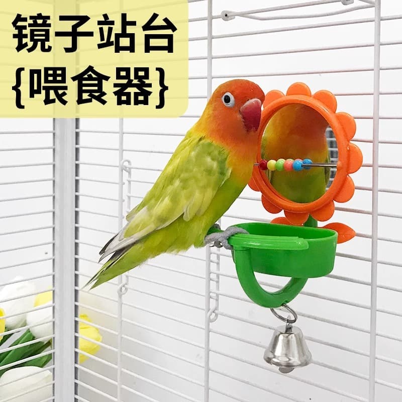 Parrot Bath Basin, Budgie and Lovebird Bath Box, Fun Bird Toy, Bird Feeder, Mirror, Perch, Bird Supplies