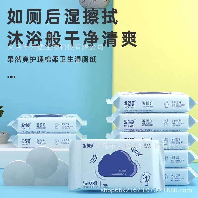 Flushable wet toilet paper bulk pack butt wipes portable antibacterial toilet cleaning wipes wholesale