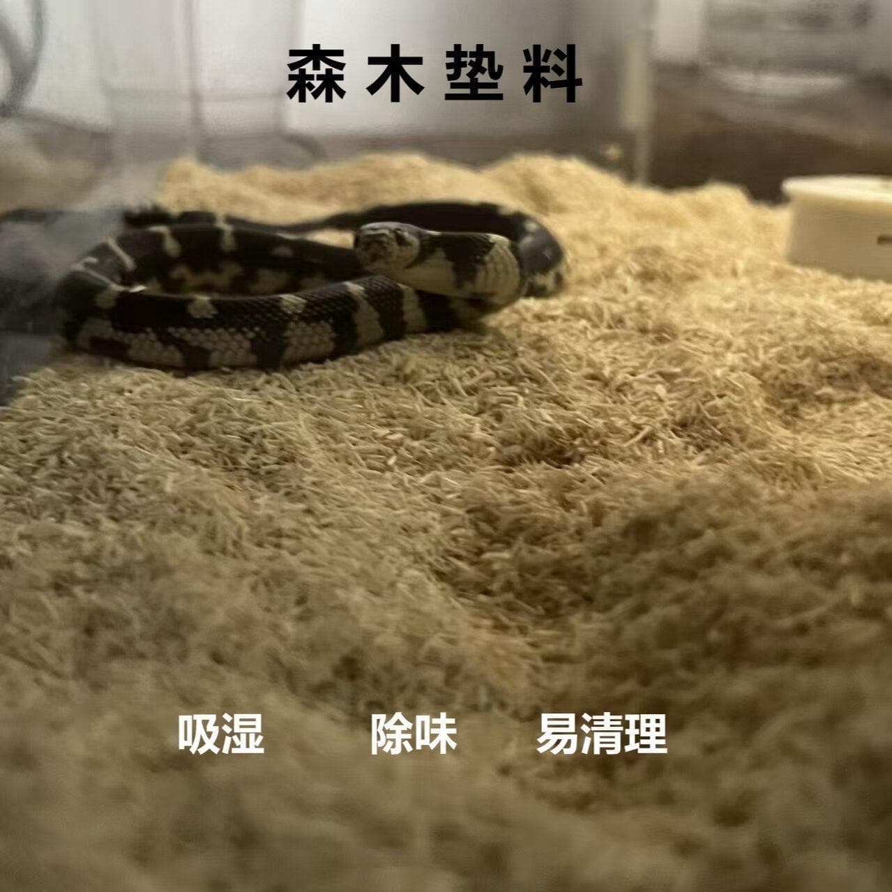 Reptile Room Special Granules Pet Snake King Snake Bedding Poplar Wood Shavings Moisture Absorbent Easy Clean Non-Damaging to Scales Safe if Ingested