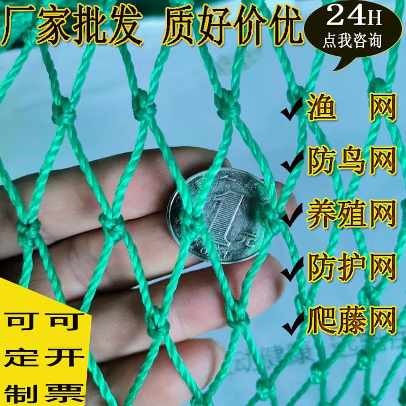Factory wholesale polyethylene fishing net, bird net, aquaculture net, chicken net, climbing net, pull net, fence net, nylon