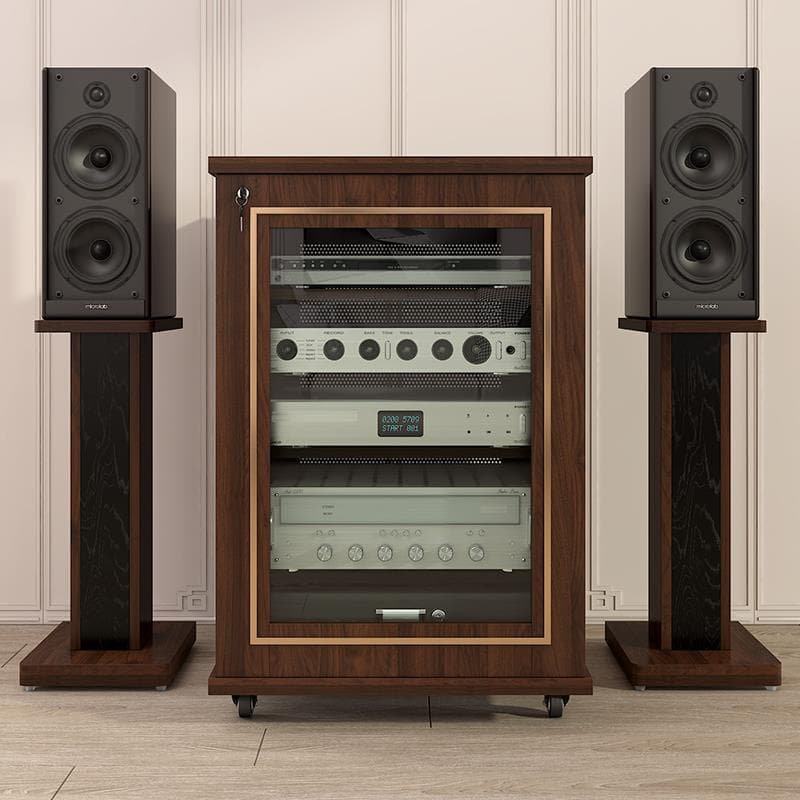 Equipment Rack Amplifier Cabinet Professional Amplifier Rack Audio Rack Theater Cabinet with Audio-Visual Shelf Amplifier Rack Floor Standing