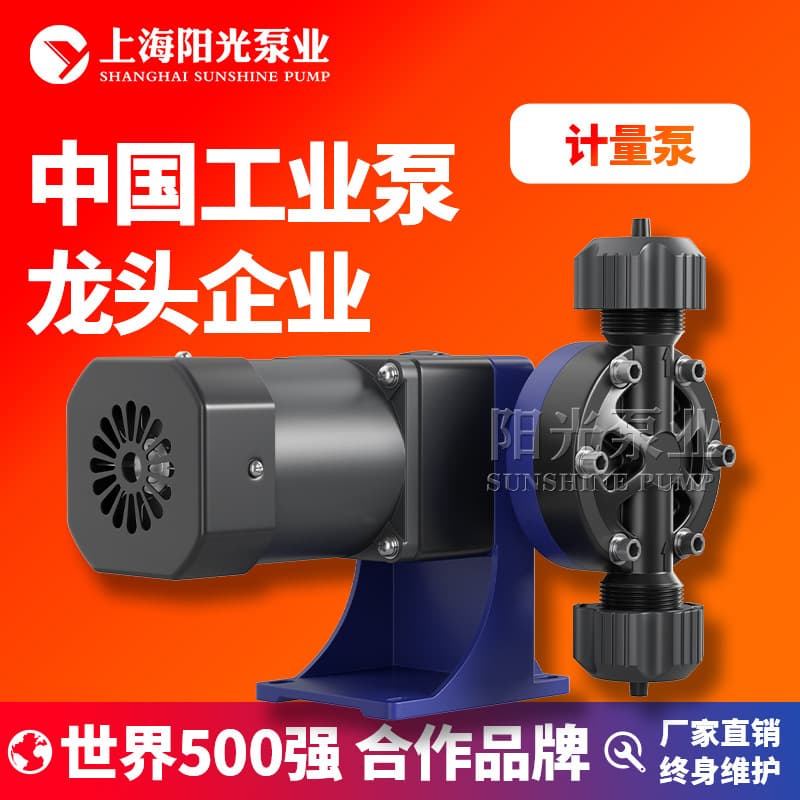 DJ-W Diaphragm Metering Pump Mechanical Metering Pump Electromagnetic Diaphragm Metering Pump High Pressure Metering Pump Deposit