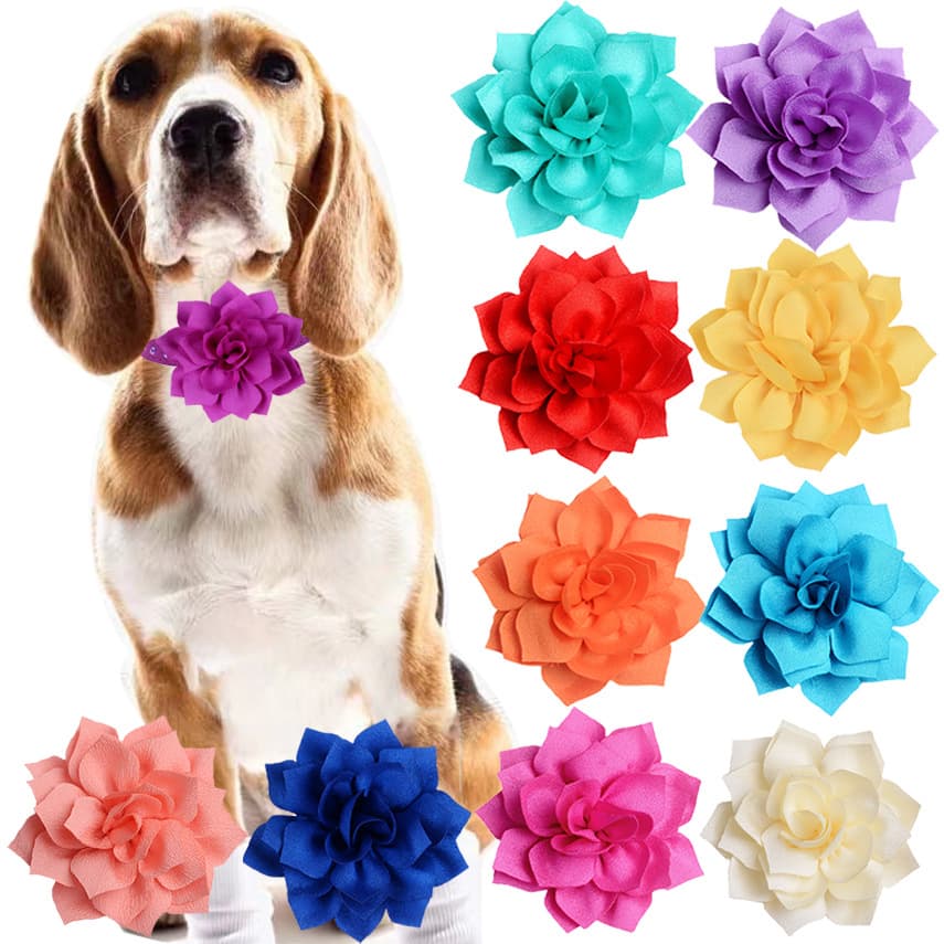 Hot-selling cross-border ecommerce pointed lotus flower cat and dog collar decorative 3D fabric flowers