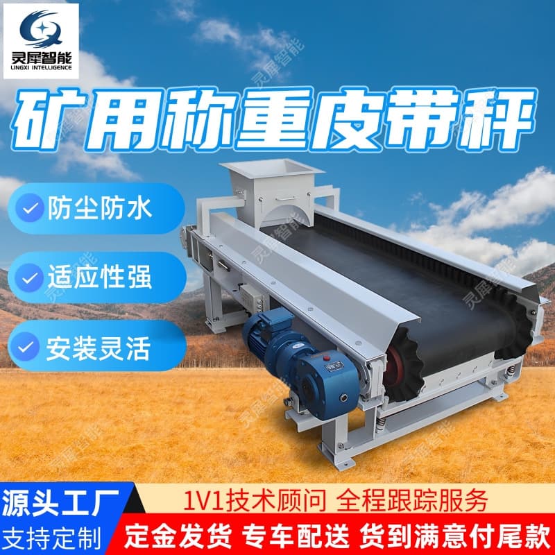 Mining Weighing Belt Scale Flexible Installation Data Traceability Belt Metering Scale ICS-JT Weighing Belt Scale