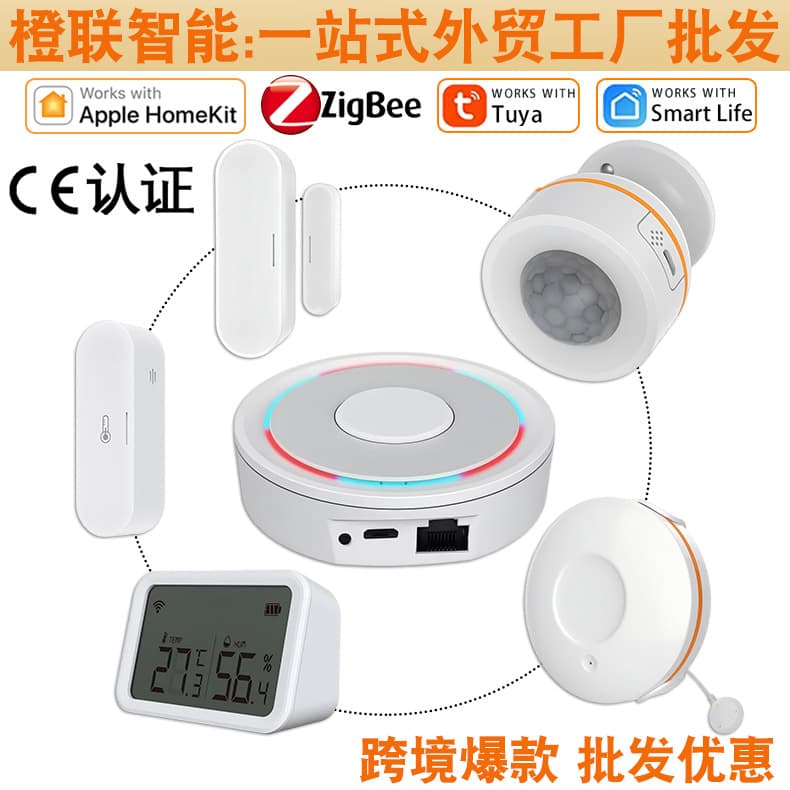 Cross-border Factory HomeKit Smart Gateway Dual-mode Whole Home Smart Tuya Zigbee Smart Sensor