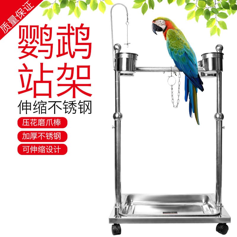 Stainless Steel Bird Cage Parrot Perch Small Bird Habitat Stand Frame Ornamental Bird Chain Bracelet for Pet Birds