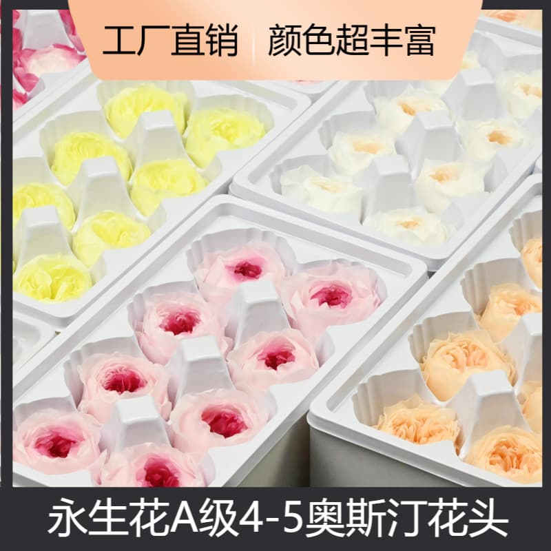 Grade A 4-5 Austin Dried Flowers DIY Material Pack Keychain Pendant Glass Cover Included 8 Pieces/Box