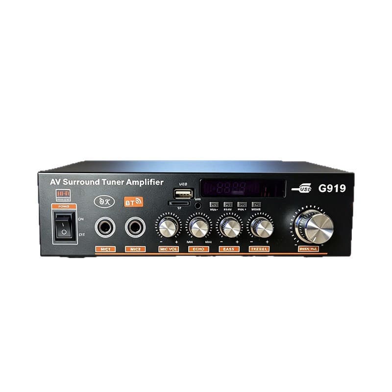 G919 Digital High-Power Amplifier Speaker Power Amplifier with USB/SD Card Radio 12V 220V Amplifier