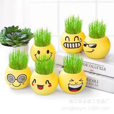 YJ01 Office Decoration Toy Desktop Grass Head Doll Potted Cool Expression Negative Ion Mini Planting