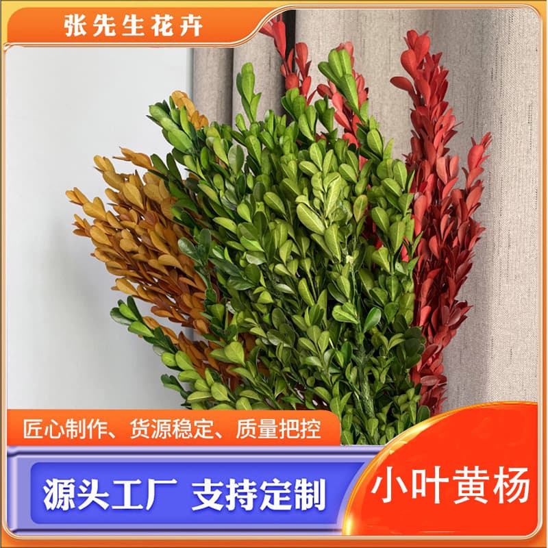 Preserved Boxwood Leaves - Yunnan Floral Material Wholesale, Cross-border Ready Stock for Christmas Decor DIY Arrangements