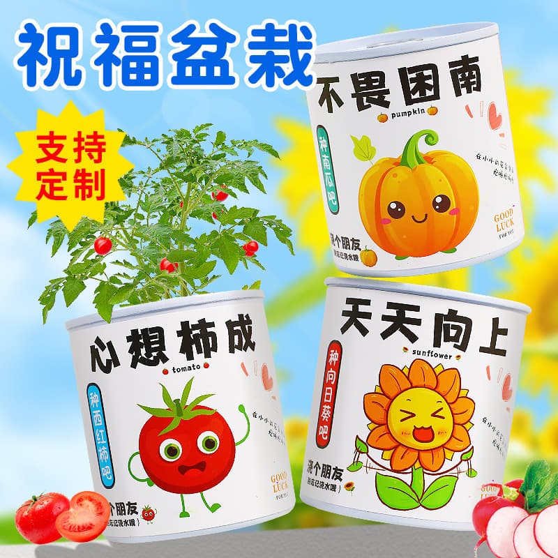 Kids DIY Planting Kit Mini Potted Plant Indoor Desktop Green Plant Tin Can Seed Pot Office Easy Grow Can Plant