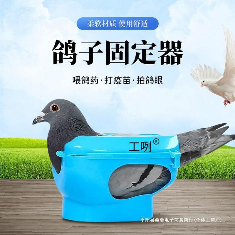 Pigeon Supplies Fixing Stand Fixing Box Pigeon Medicine Feeder Pigeon Eye Viewer Racing Pigeon Auxiliary Liquid Feeder Free Shipping
