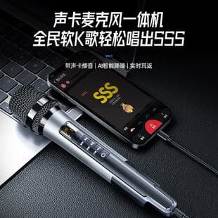 Cross-border Microphone Desktop Computer K Song Live Streaming Sound Card Plug and Play Wired Microphone