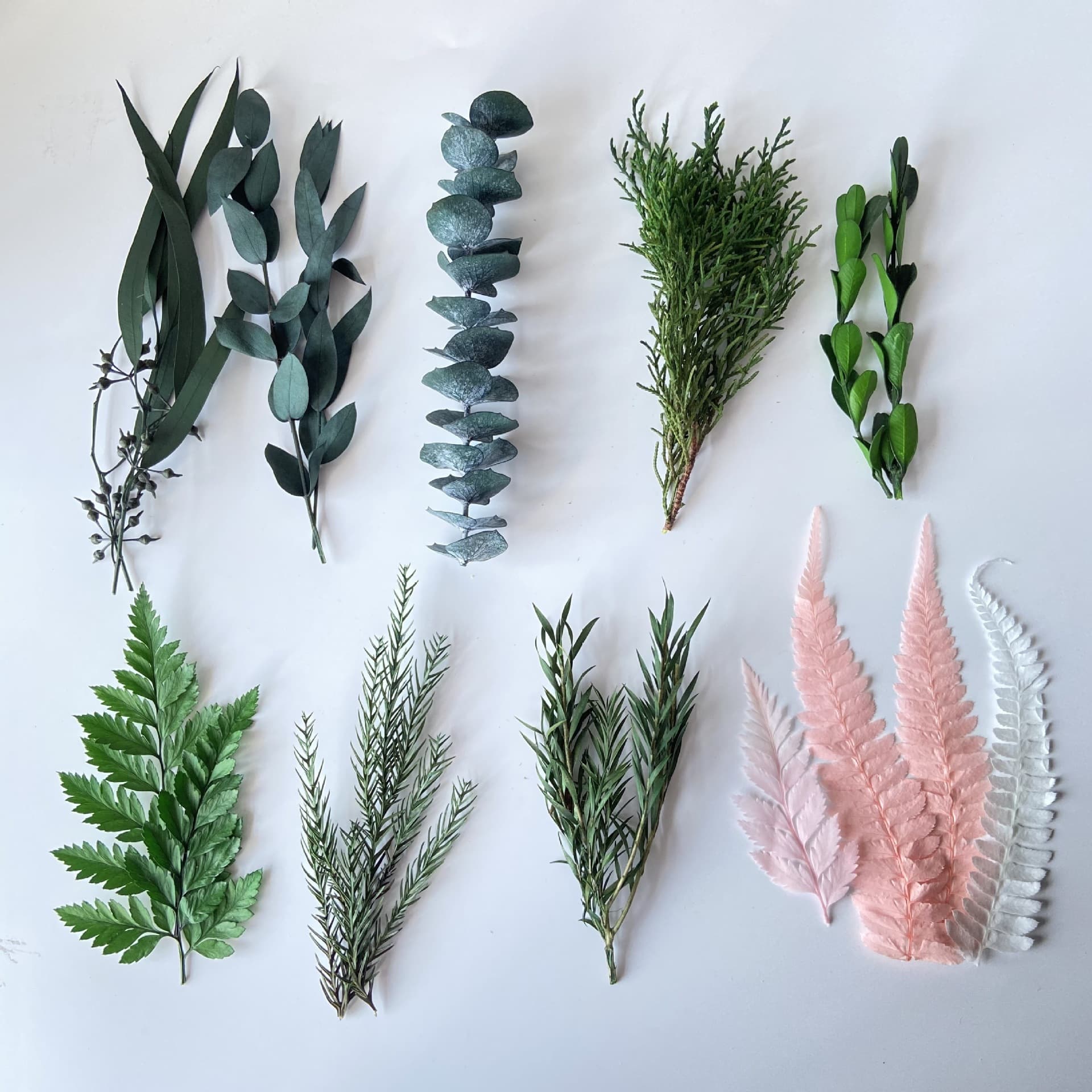 DIY Handmade Dried Plants - Green Fern Leaves, Eucalyptus, Preserved Flower Scented Candle Making Kits and Frame Specimens