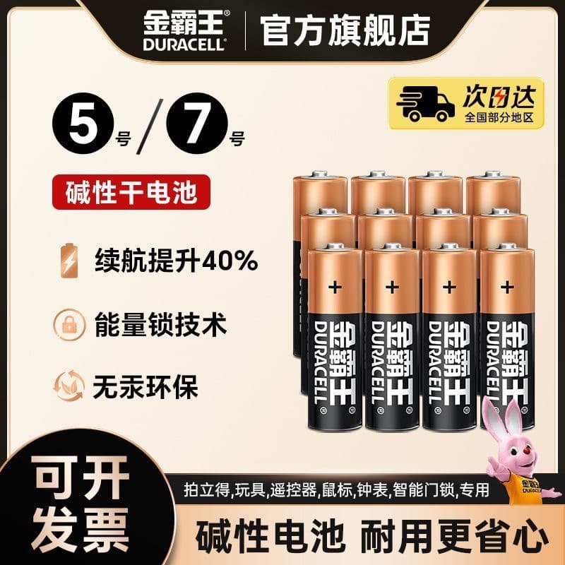 Duracell AA AAA Alkaline Batteries for Toys, Mouse, Keyboard, Remote Control, Braun Ear Thermometer, Electronic Lock