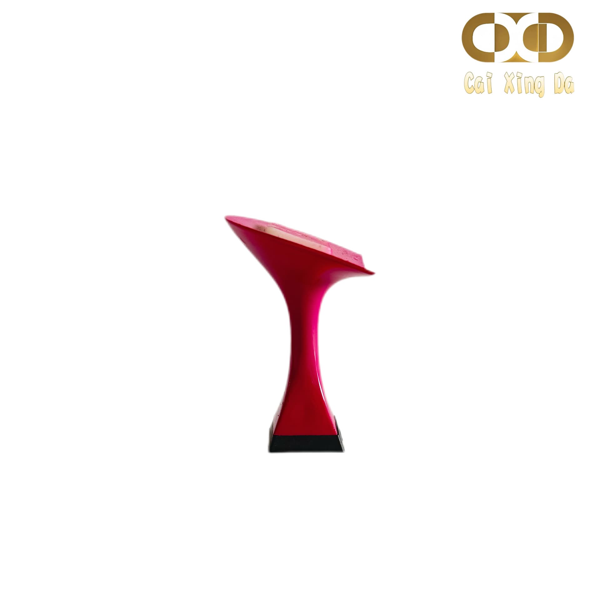 Caixingda Shoe Materials 900092 Niche Design Sexy Girl Boots Fashion Designer High Heels
