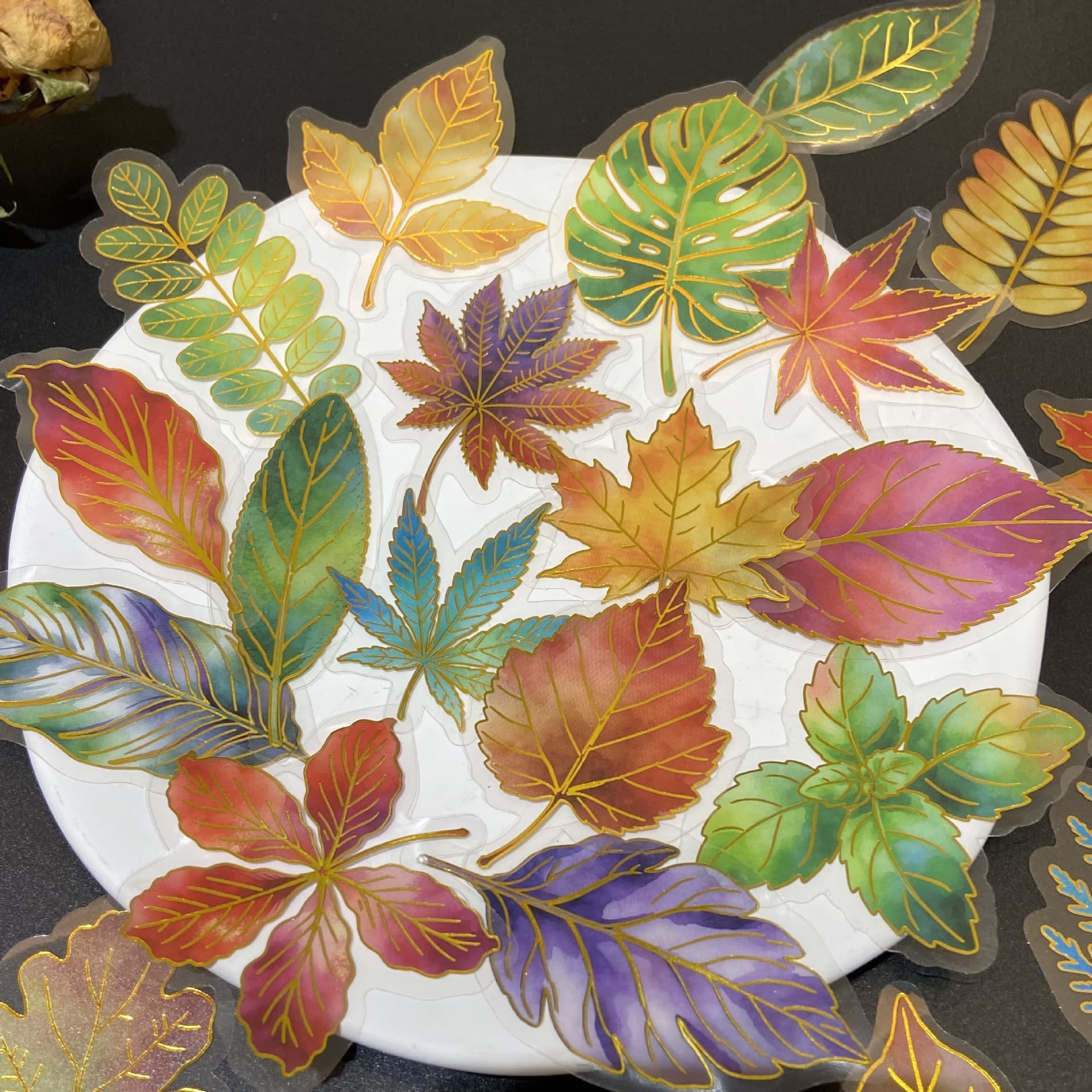 50 cartoon gilded leaves sticker pack, waterproof and transparent PET, can be DIY decorated, ledger book, guitar can be wholesaled