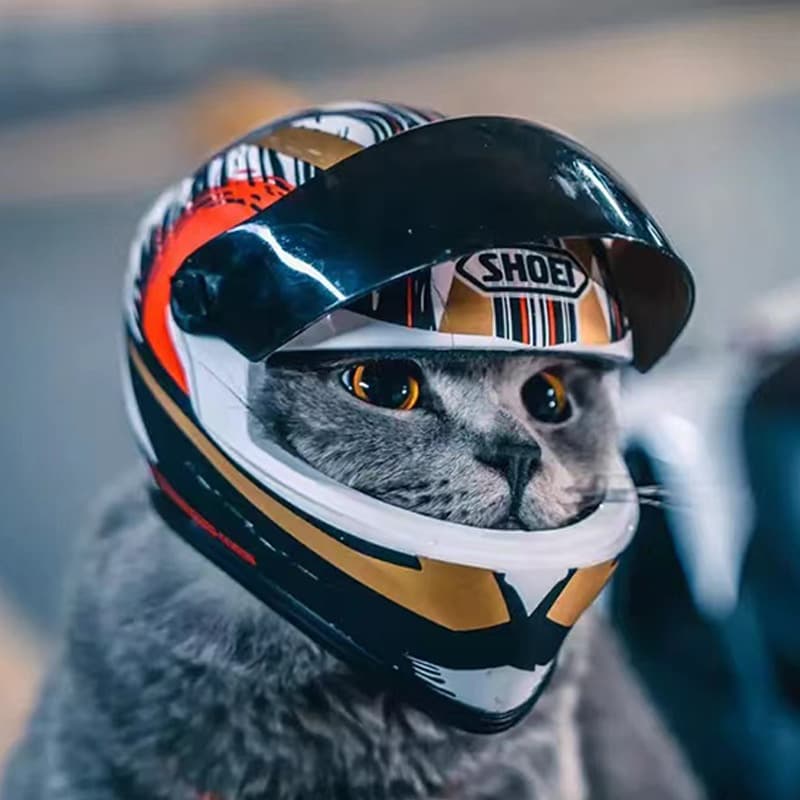 Cat Motorcycle Helmet, Pet Cat Motorcycle Helmet, Dog Cool Mini Motorcycle Helmet Hat