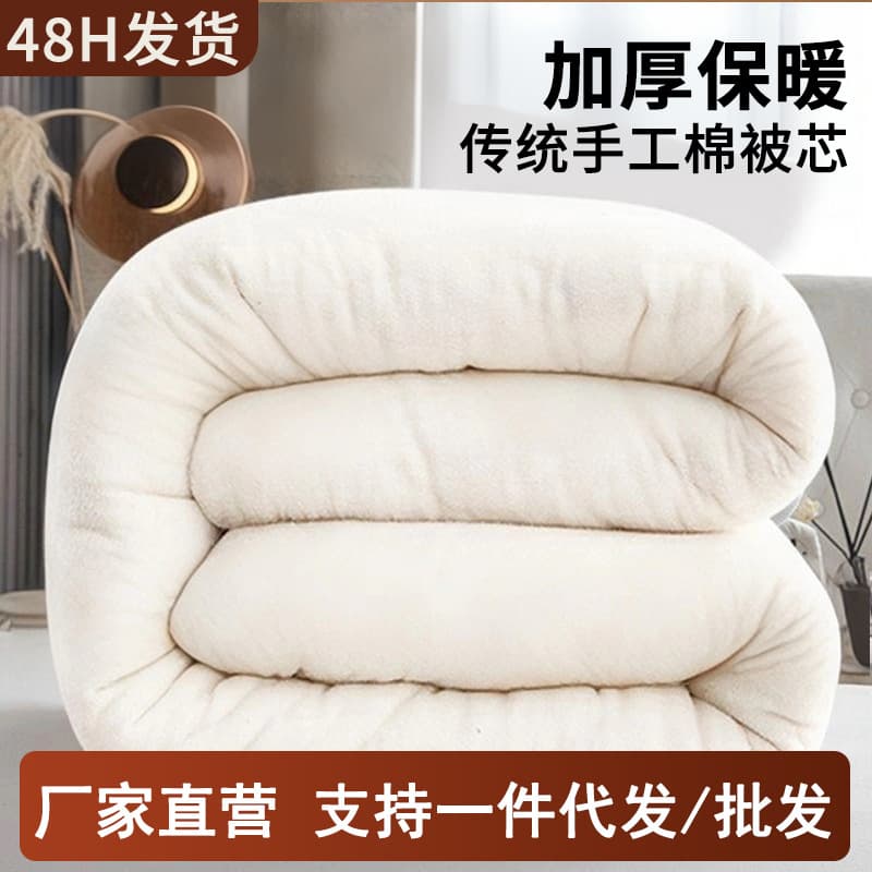 Winter Thickened Quilt Mattress Cotton Blanket Home Use Bed Pad Inner Student Spring Autumn Quilt Core Wholesale