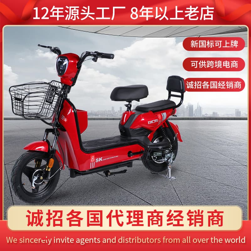 New National Standard Electric Bicycle for Adults, Export Model Electric Bike for Cross-Border Sales