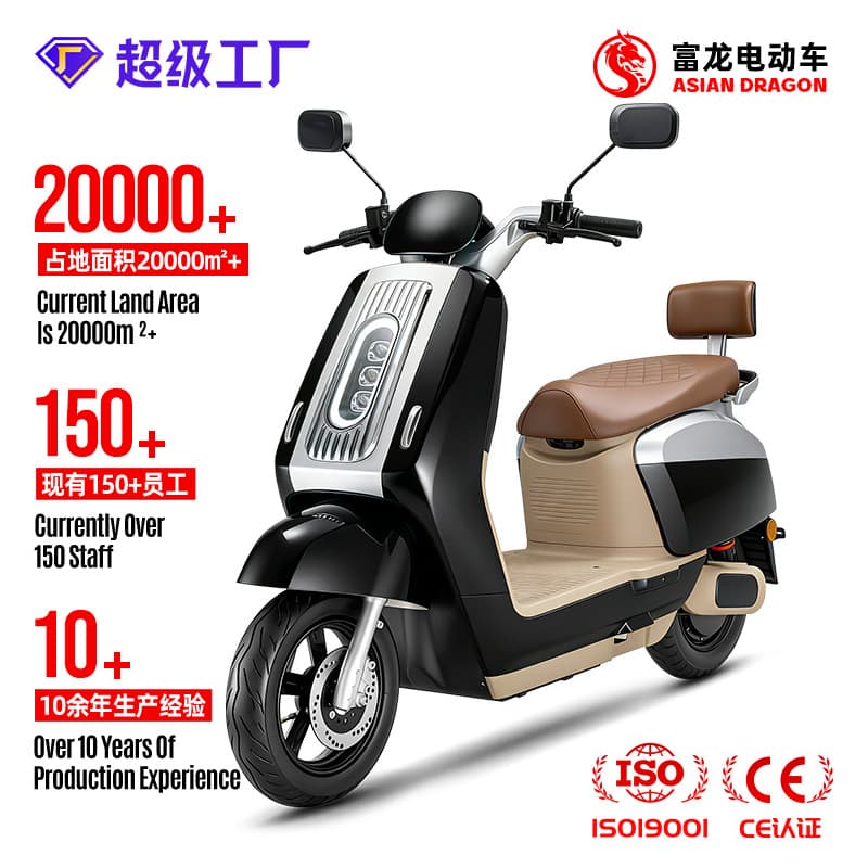 TNE Model Export 48V Electric Motorcycle Source Factory OEM/ODM Cross-border Two-wheeled Electric Motorcycle