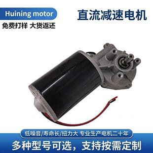 Custom Geared Motor 76 High Torque Small Motor for Garage Door Sectional Door Micro DC 24V Motor