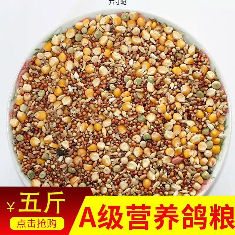 Pigeon Food, New Pigeon Feed, Corn-Free Bird Feed, Bird Food 2.5kg 5kg Homing Pigeon Ornamental Pigeon Factory