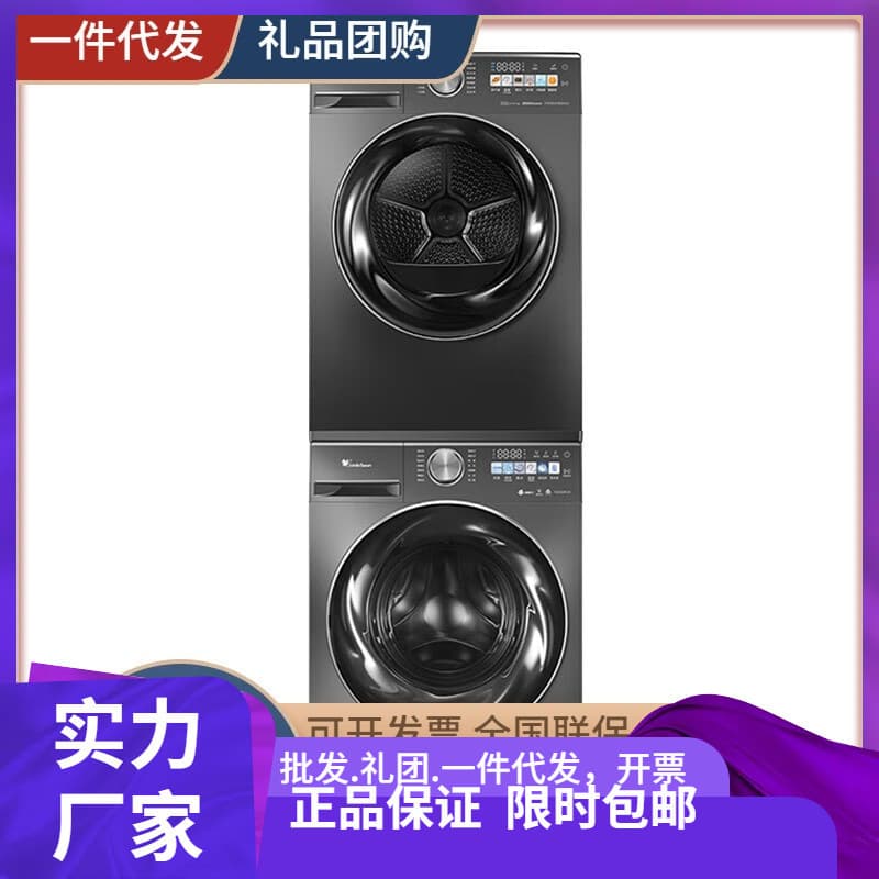 Little Swan Front Load Washer + Heat Pump Dryer Dual Inverter Water Magic Cube TG100RVIC+TH100VH83M