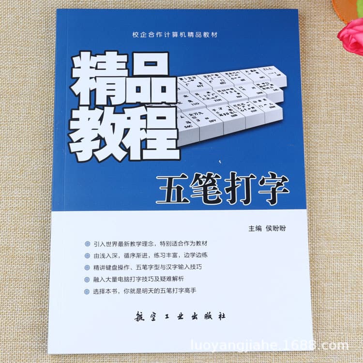 Wubi Typing Tutorial: Beginner's Guide to Computer Input Methods - Self-Study Training Materials and Books