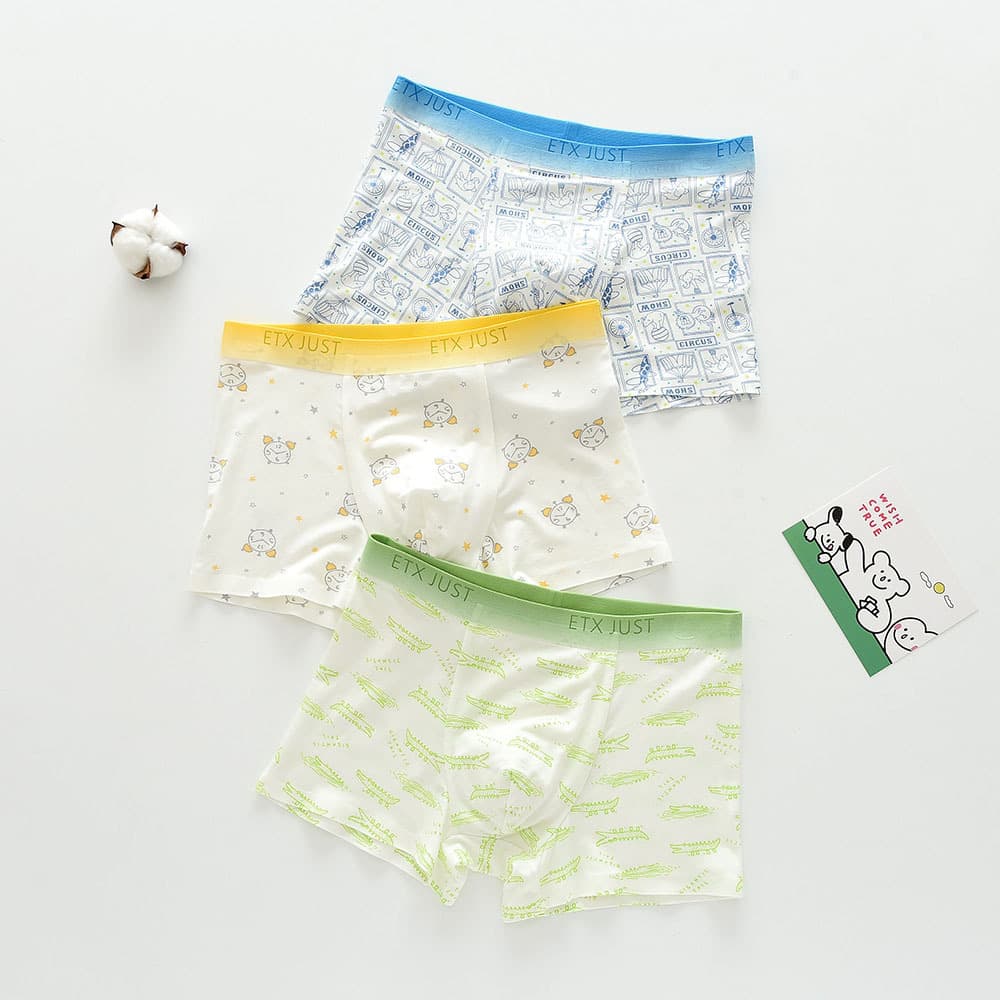 ETXJUST boys' underwear modal summer thin youth big children's shorts boys boxer middle and high school students