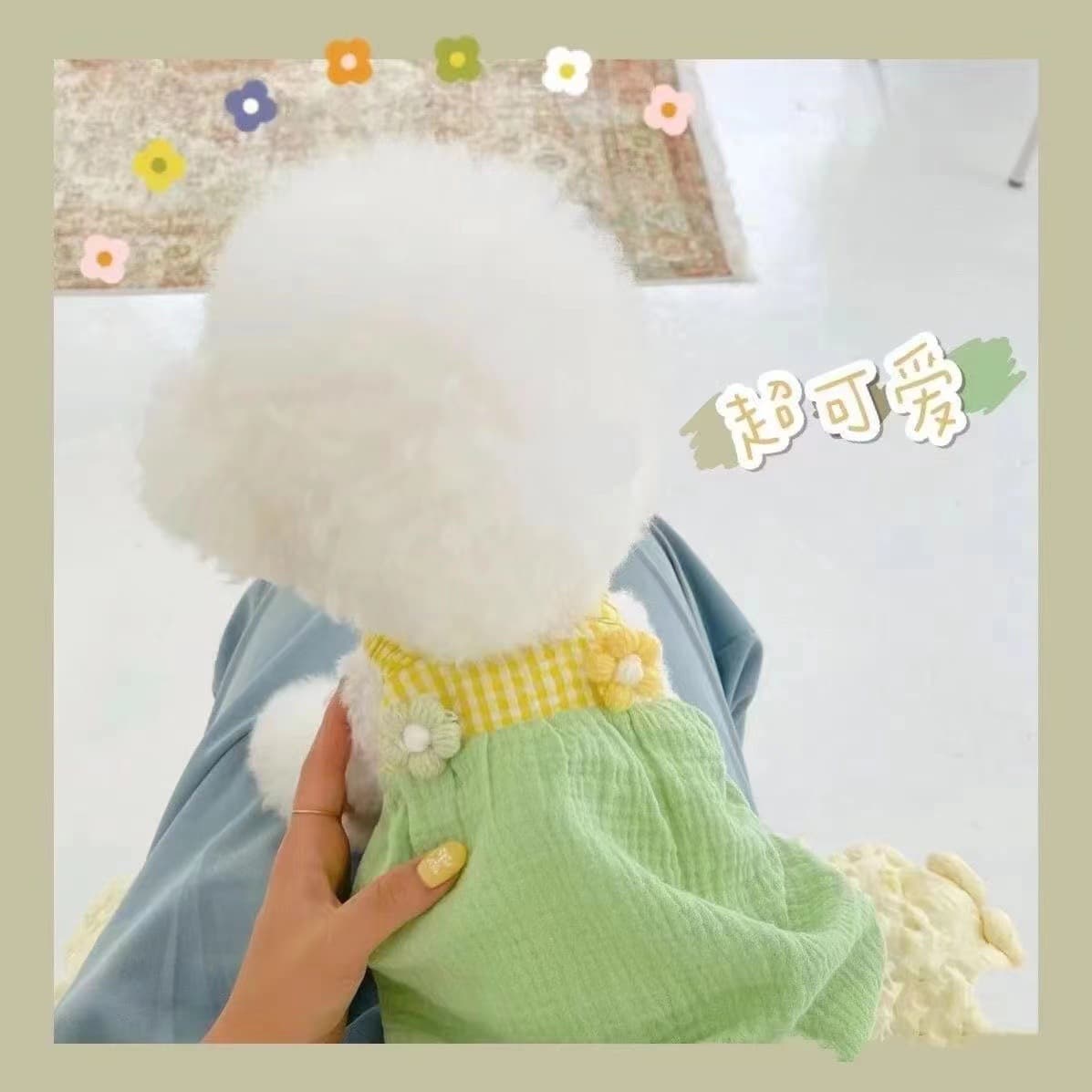 Puppy Clothes Thin Spring & Fall Clothes Teddy Cat Bichon Pomeranian Summer Pet Small Puppy Suspender Skirt